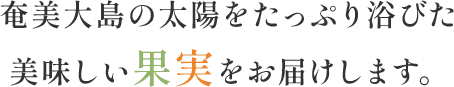 奄美大島の太陽をたっぷり浴びた 美味しい果実をお届けします。