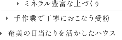 ミネラル豊富な土づくり/手作業で丁寧におこなう受粉/奄美の日当たりを活かしたハウス