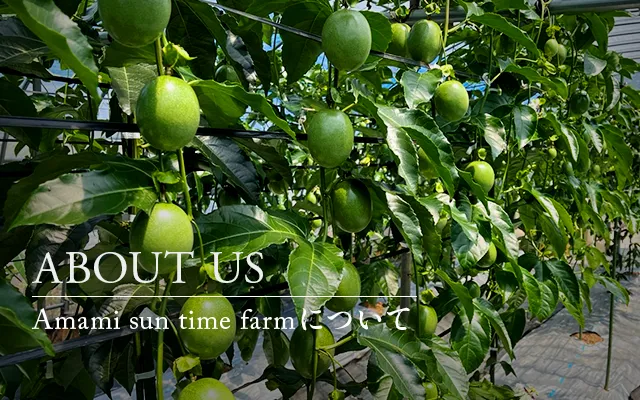 Amami sun time farmについてバナー