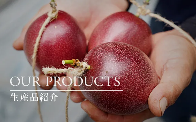 生産品紹介